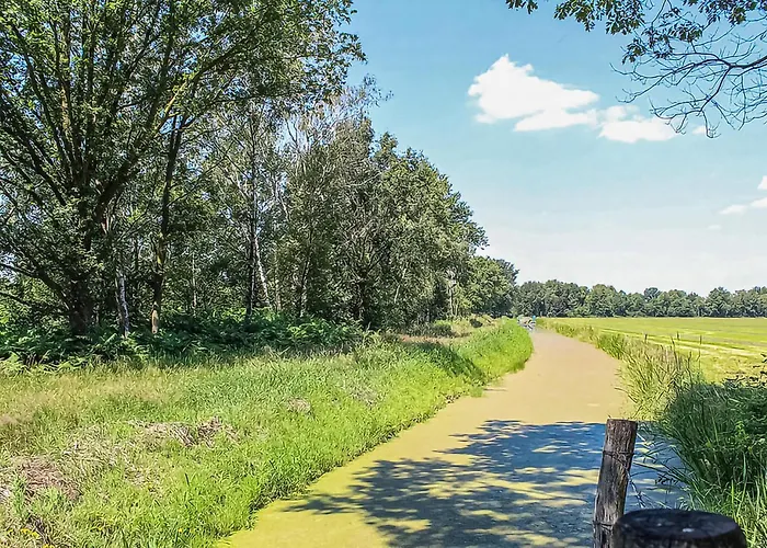 3 Bedroom Stunning In * Meijel